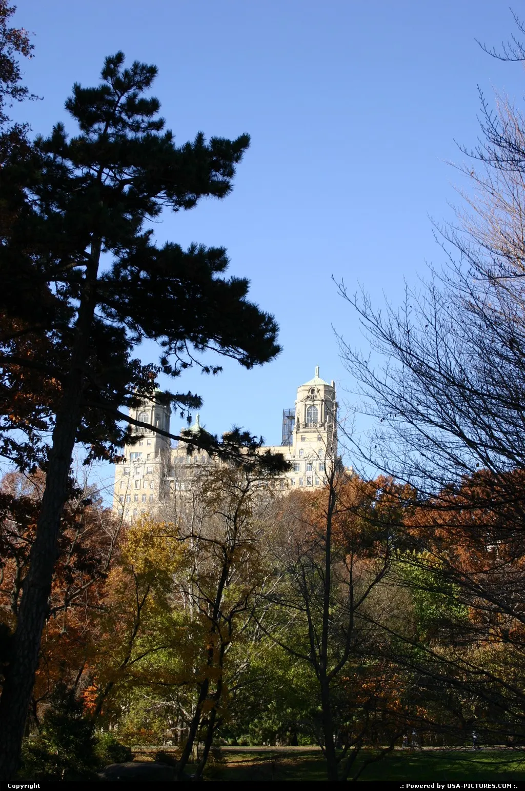New York New-york