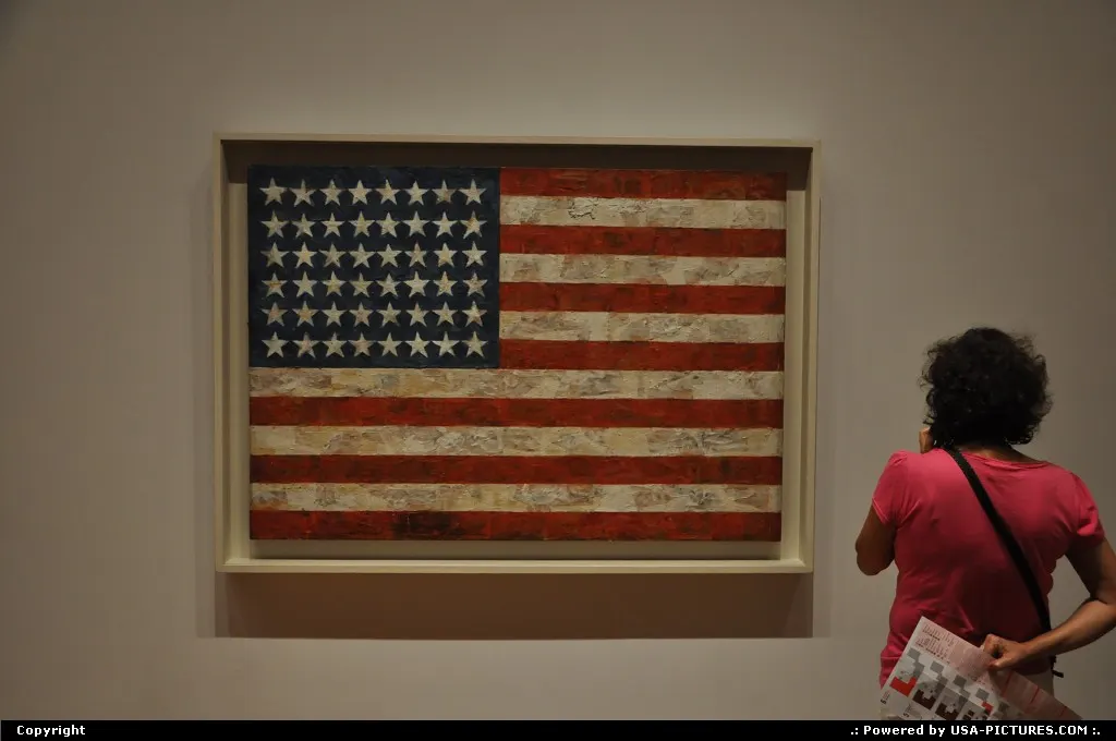 Flag by Jasper Johns, exposed at MoMa, NYC. Dedicated to all 9/11 victims, 10 years after.