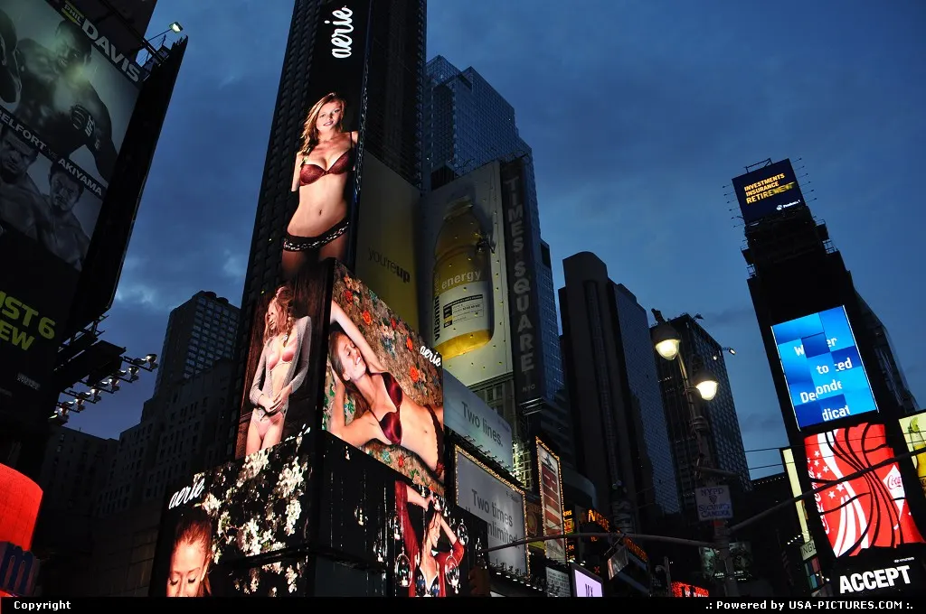 World famous Times Square and the hudge neon signs.