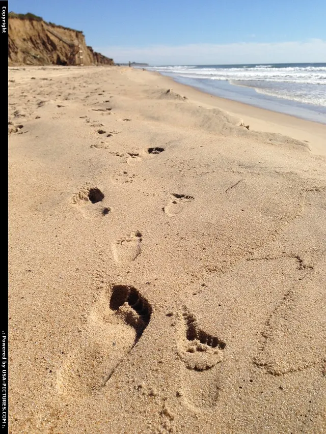 Hampton Montauk, ideal for rest and relaxation