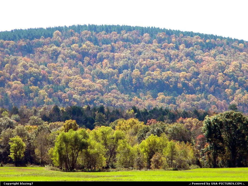 A beautiful blend of fall colors in the background and bright green fields and trees in...