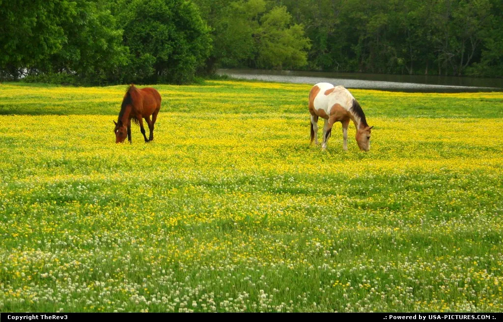 Driving through the countryside of Oklahoma area one can come upon many photo ops you j...