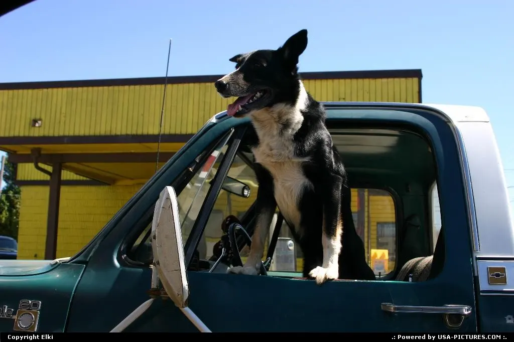 Licence and registration, please!