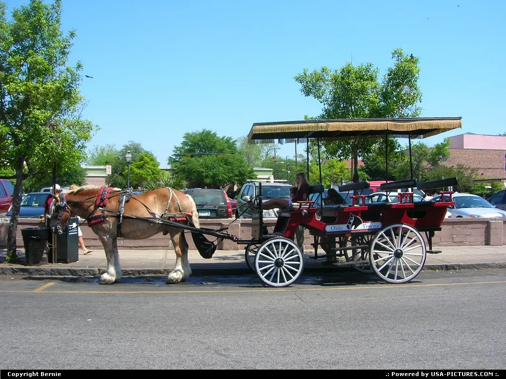 Maybe the best way for visiting Charleston !