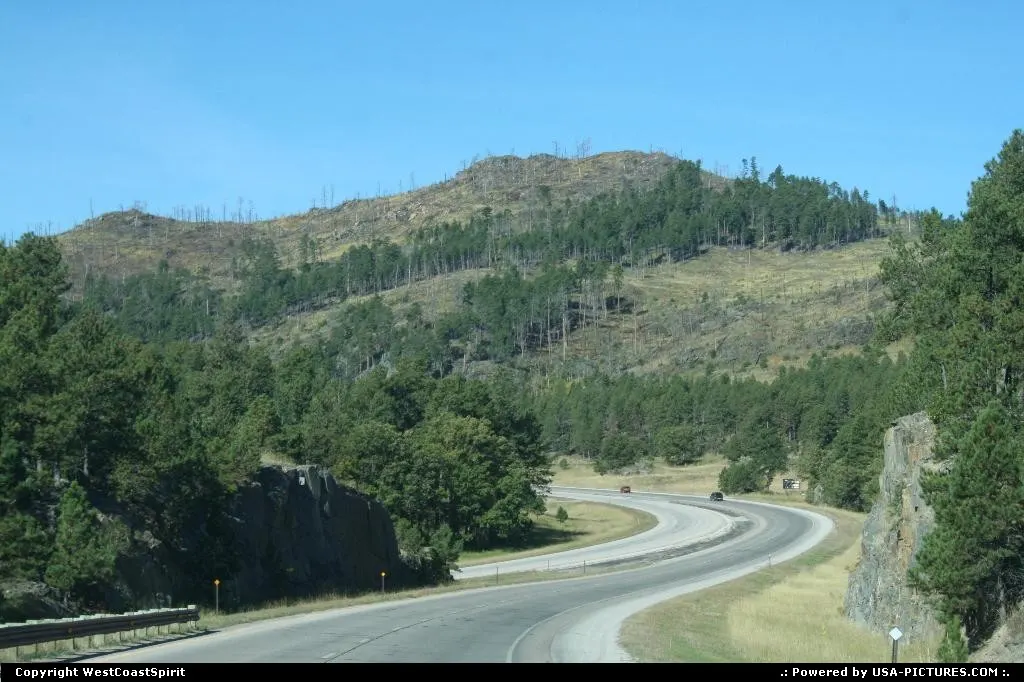 Black Hills National Forest, en route to Mount Rushmore