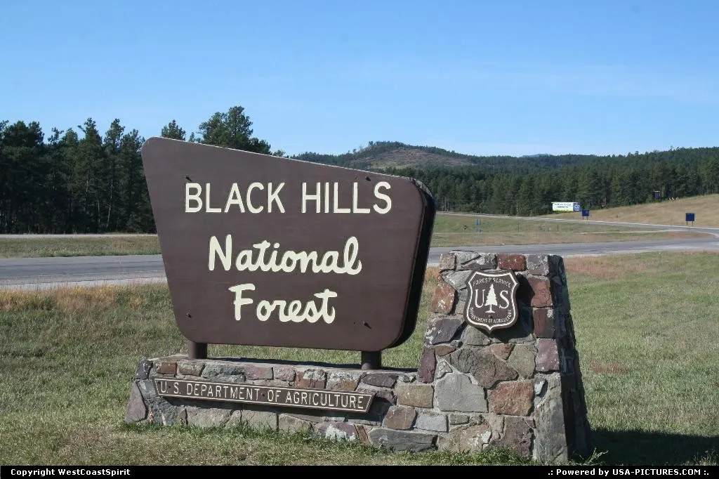 Entering the wonderful Black Hills National Forest, on the way to Mount Rushmore