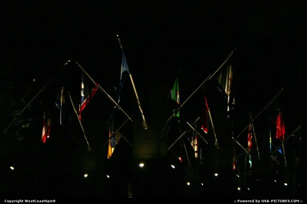 Flags Avenue, Mont Rusmore, by night