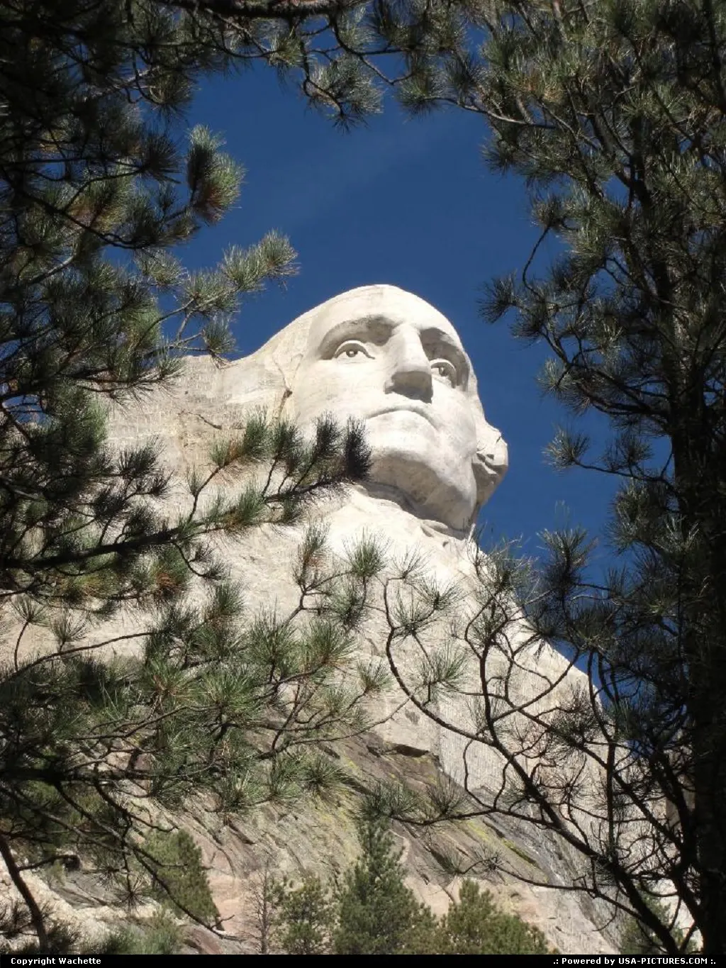 a different perspective of president washington in mount rushmore