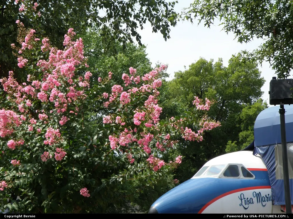Named as Elvis Presley's daughter this Convair 880 (N880EP) was one of the King's priva...