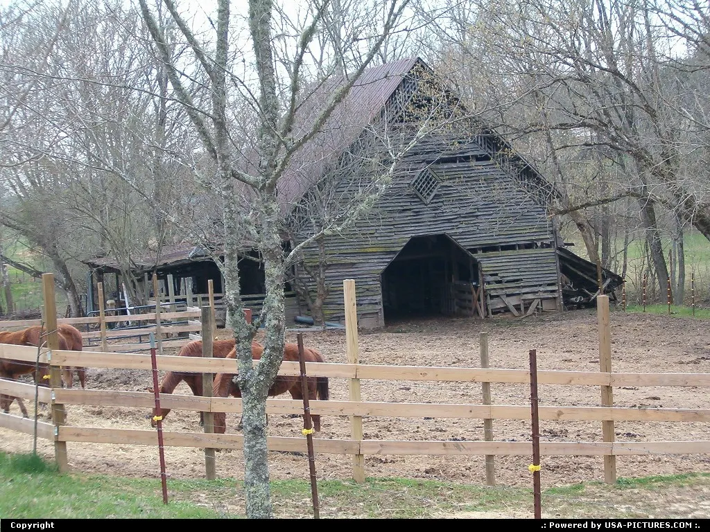 Luttrell Tennessee