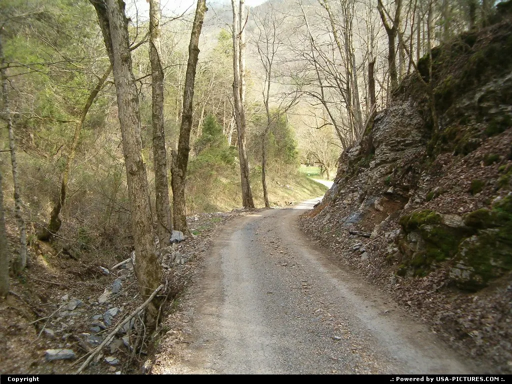 Luttrell Tennessee