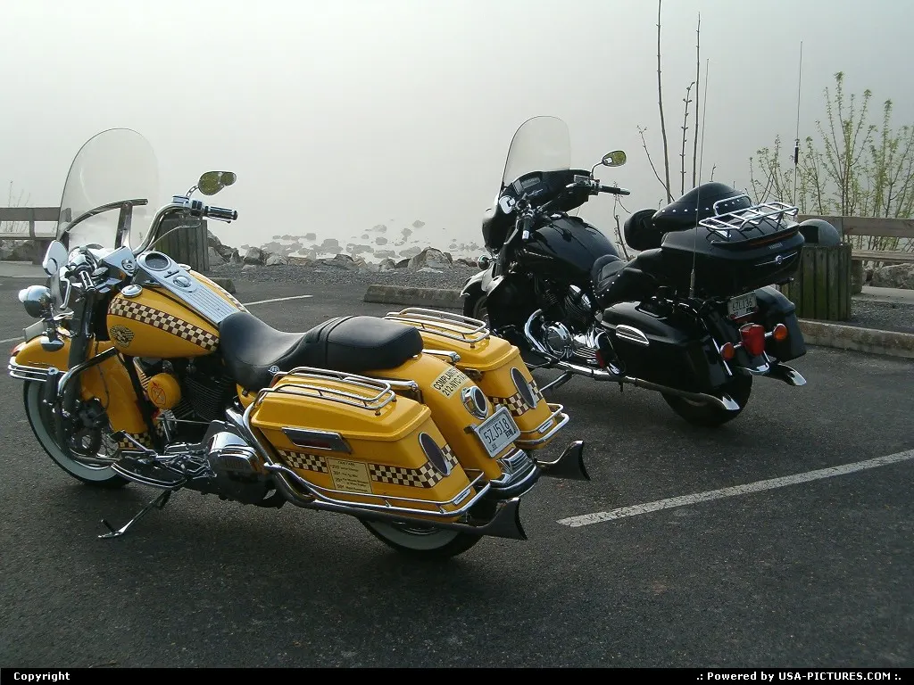 foggy day