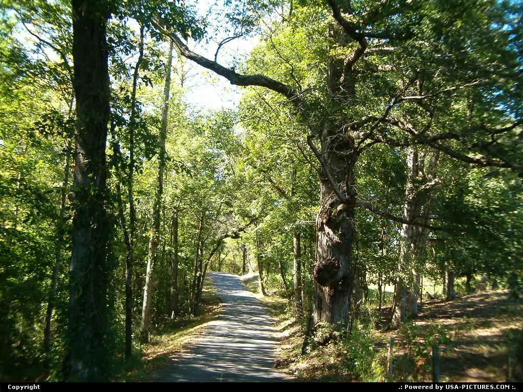 East TN. backroads
