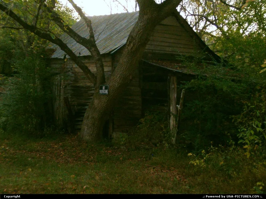 Amis Mill