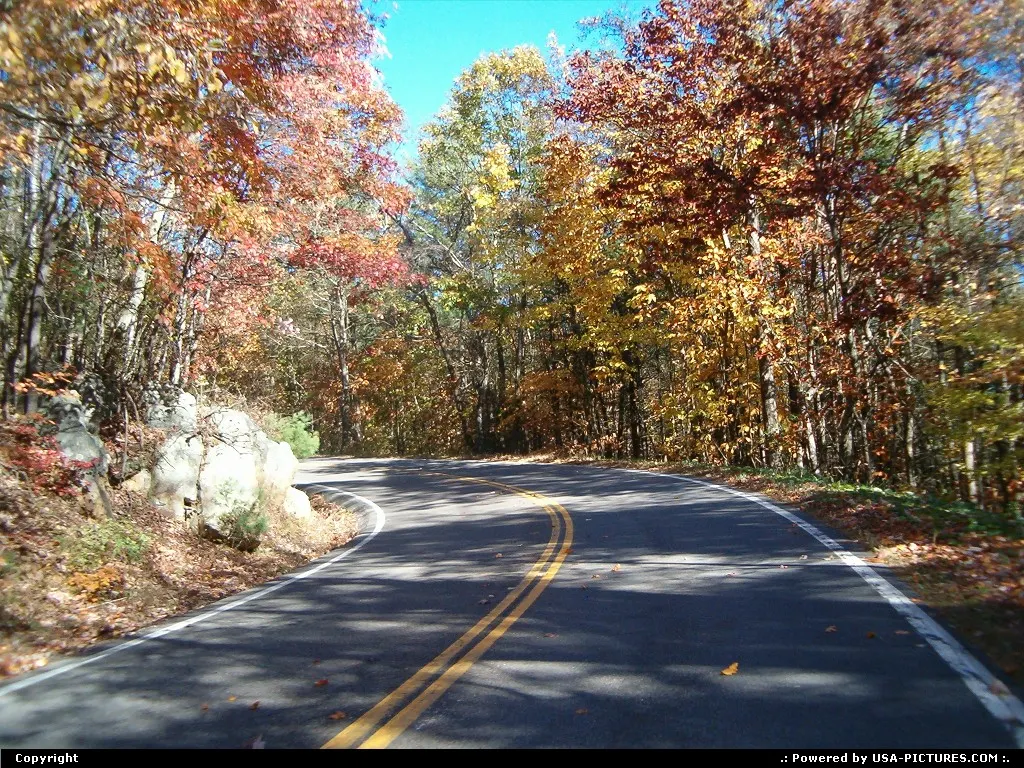 Fall colors