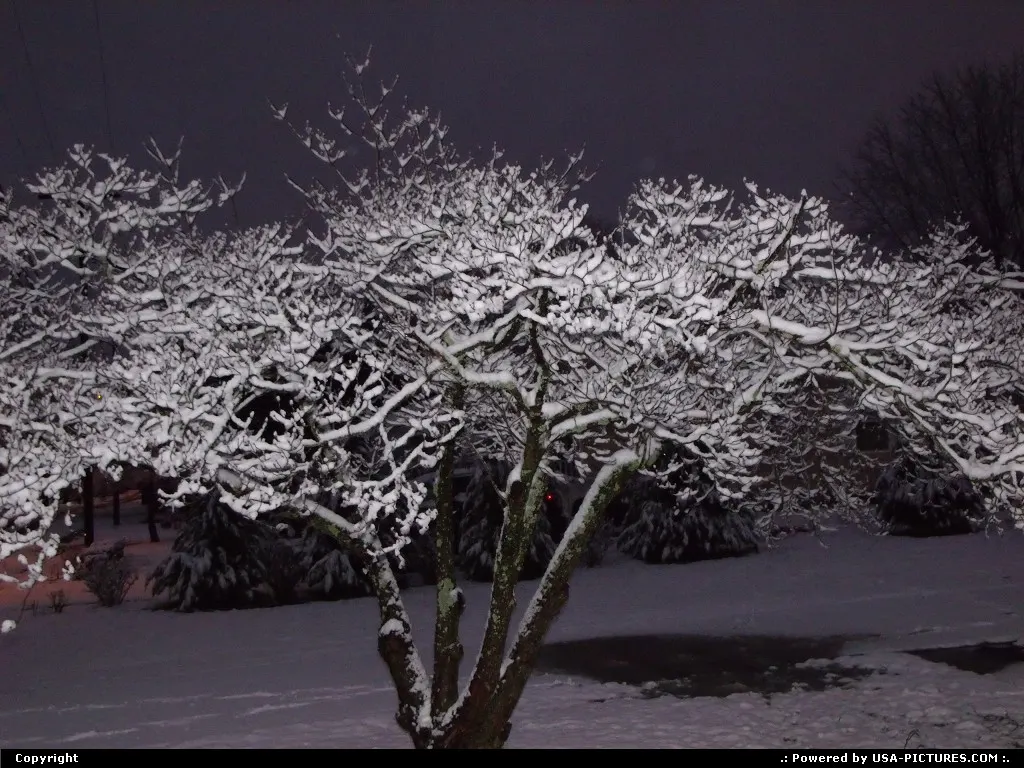Flash effect on he snow 1-17-13