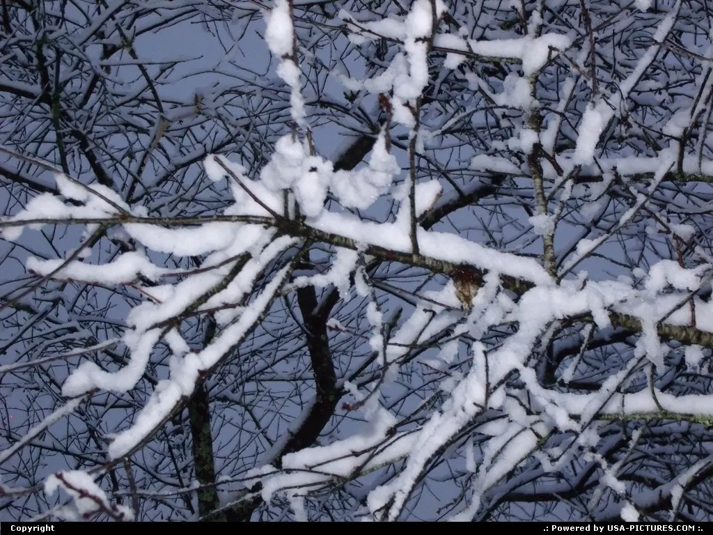 Fresh Snow