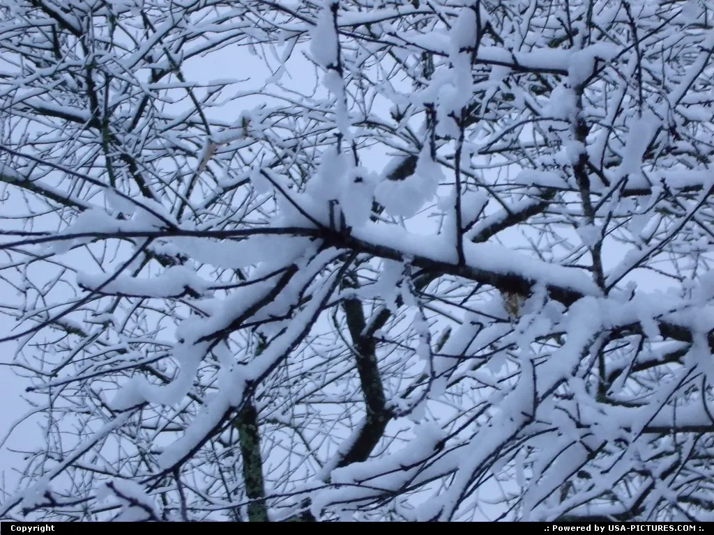 Winter in Knoxville,TN.