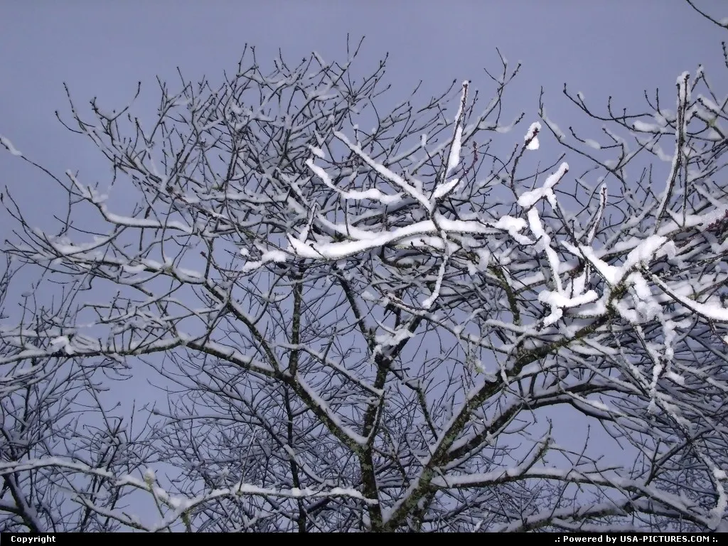 Winter in Knoxville,TN