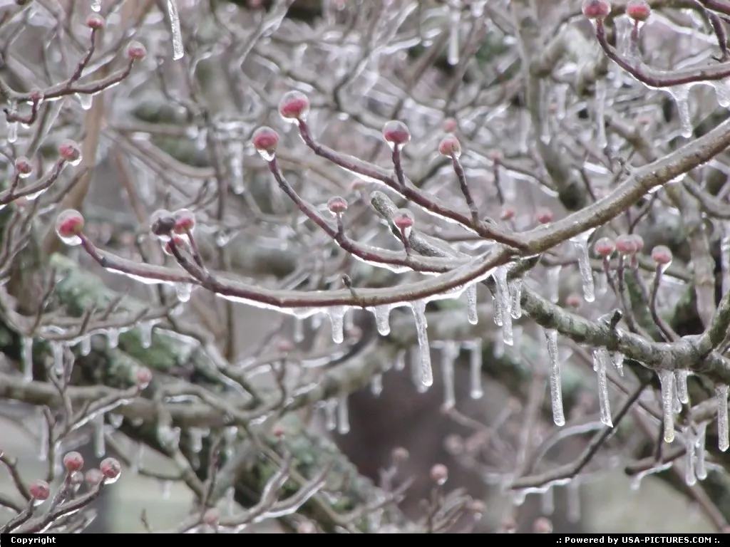 Winter in Knoxville, TN.