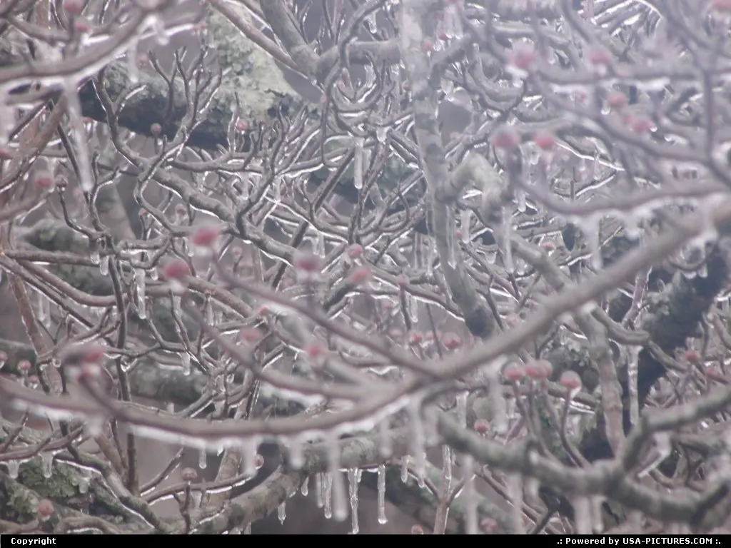 Winter in Knoxville, TN.