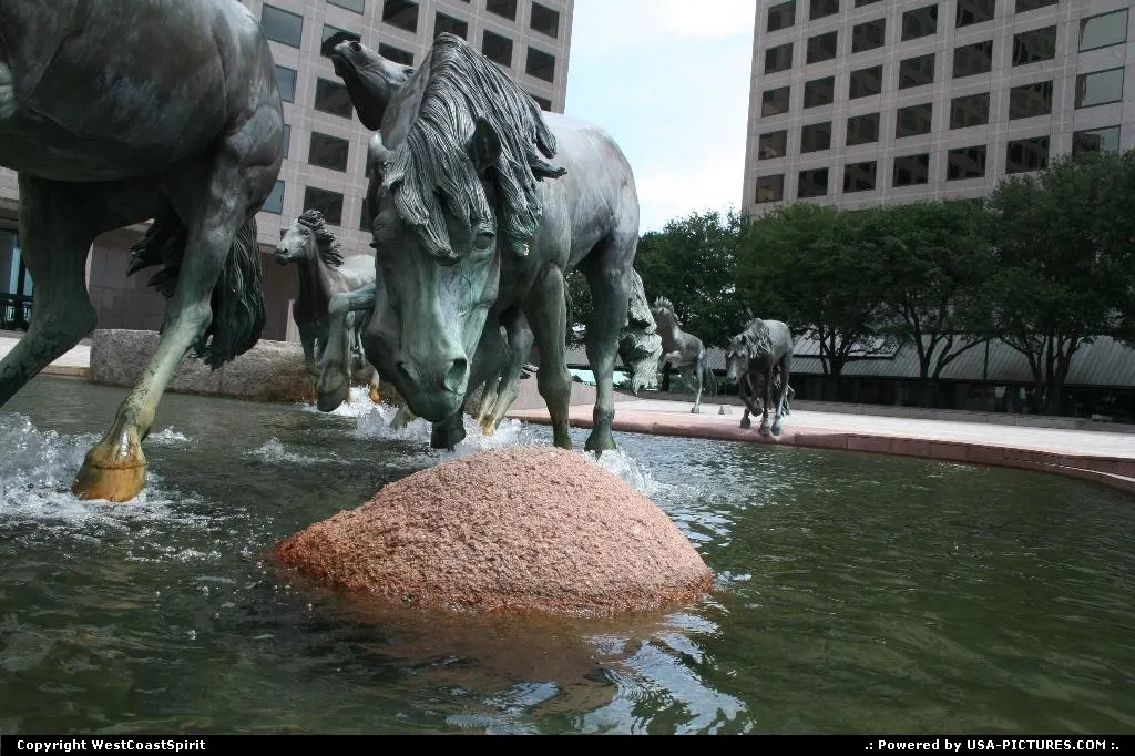 The Mustangs of Las Colinas. Irving, Texas. Such a nice and huge bronze sculture!