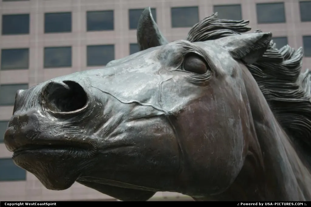 The Mustangs of Las Colinas.