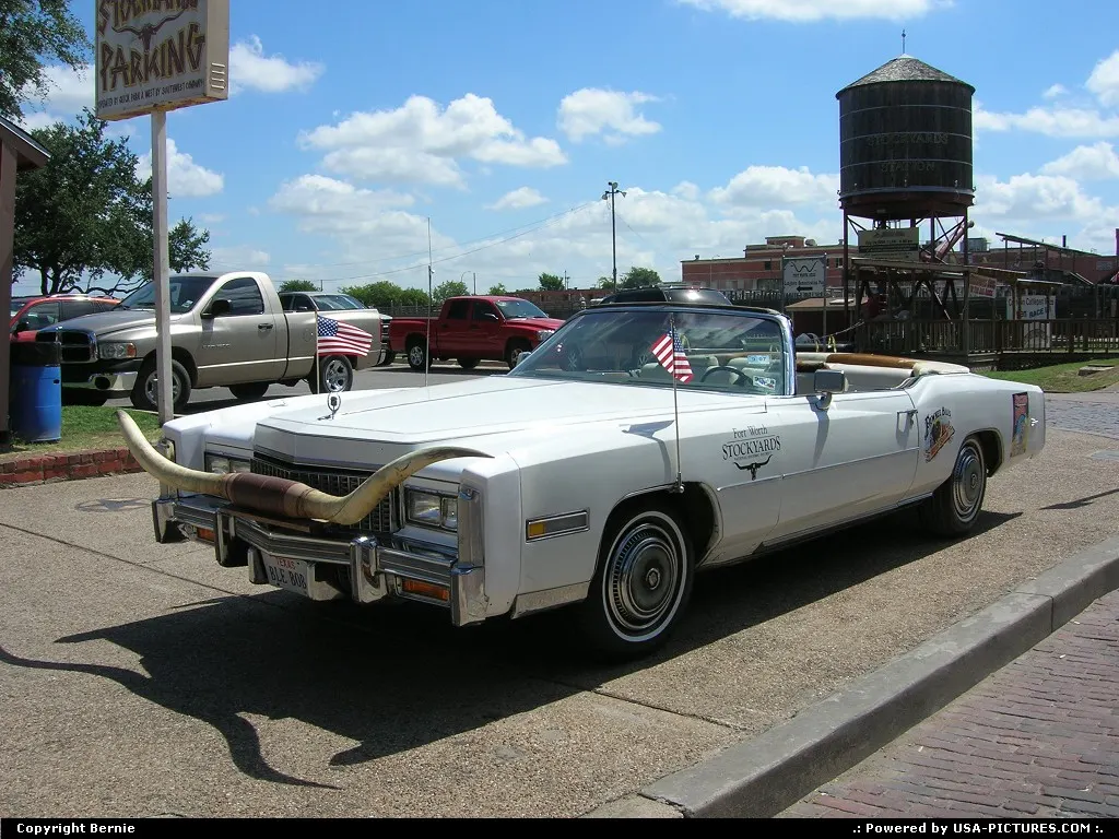 Nearly everything wears longhorns in the stockyards