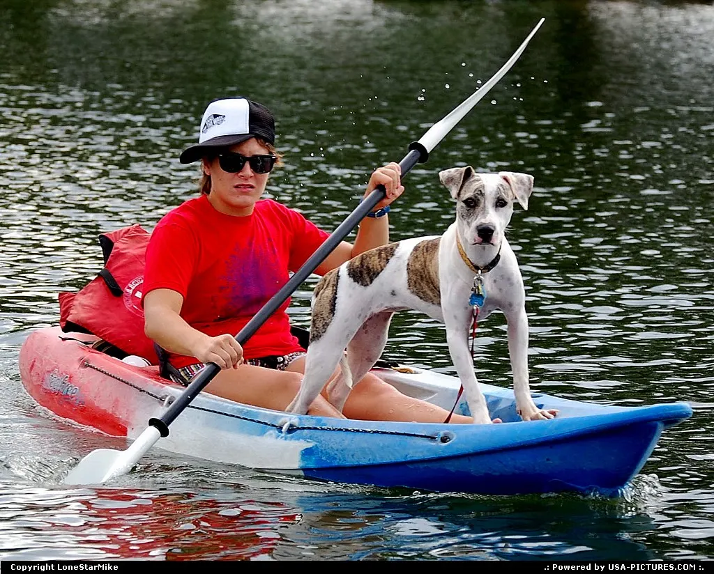 Woman & dog kayaking on Lady Bird Lake