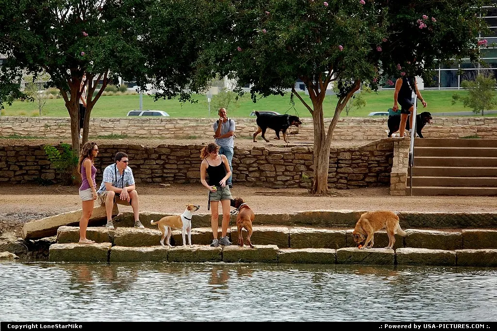 Auditorium Shores on the banks of Lady Bird lake. This section of the park is leash-free.