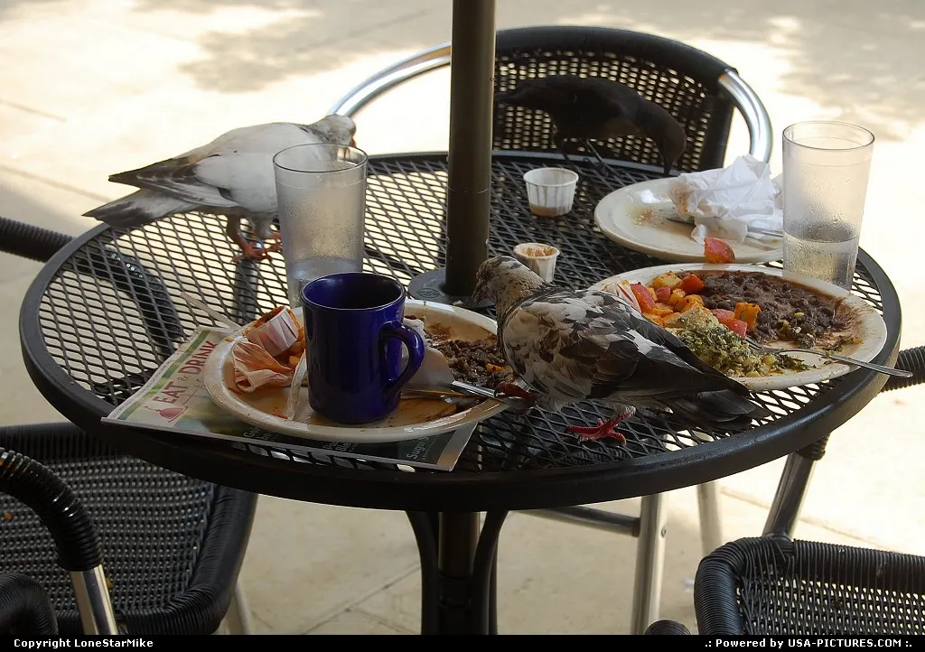Fine dining in Austin's Second Street District.