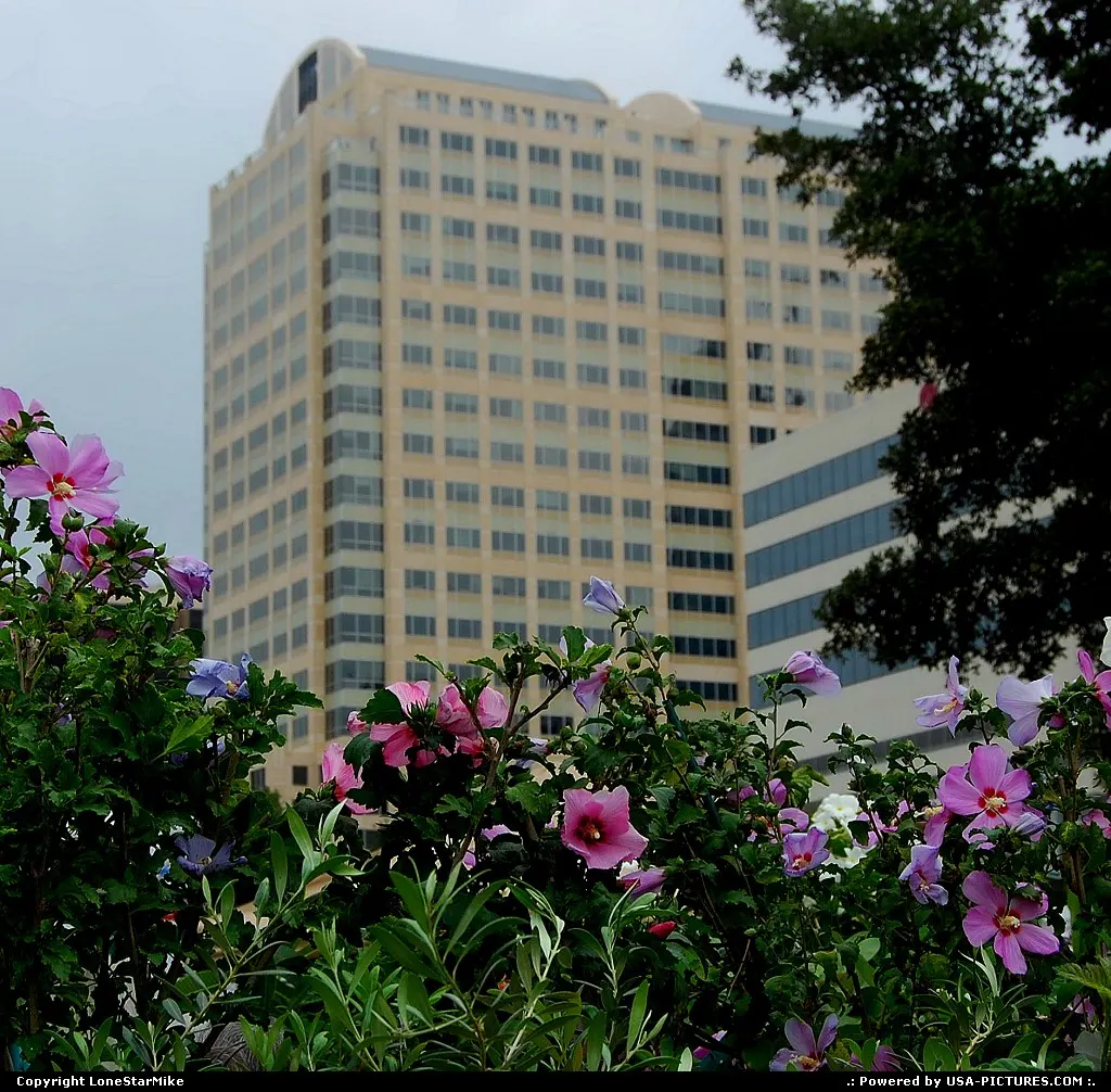 When built, this skyscraper was known as the Carr-America Building.