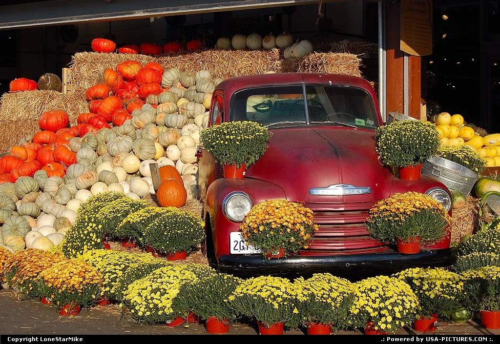 Halloween/Autumn display at Whole Foods Market flagship store