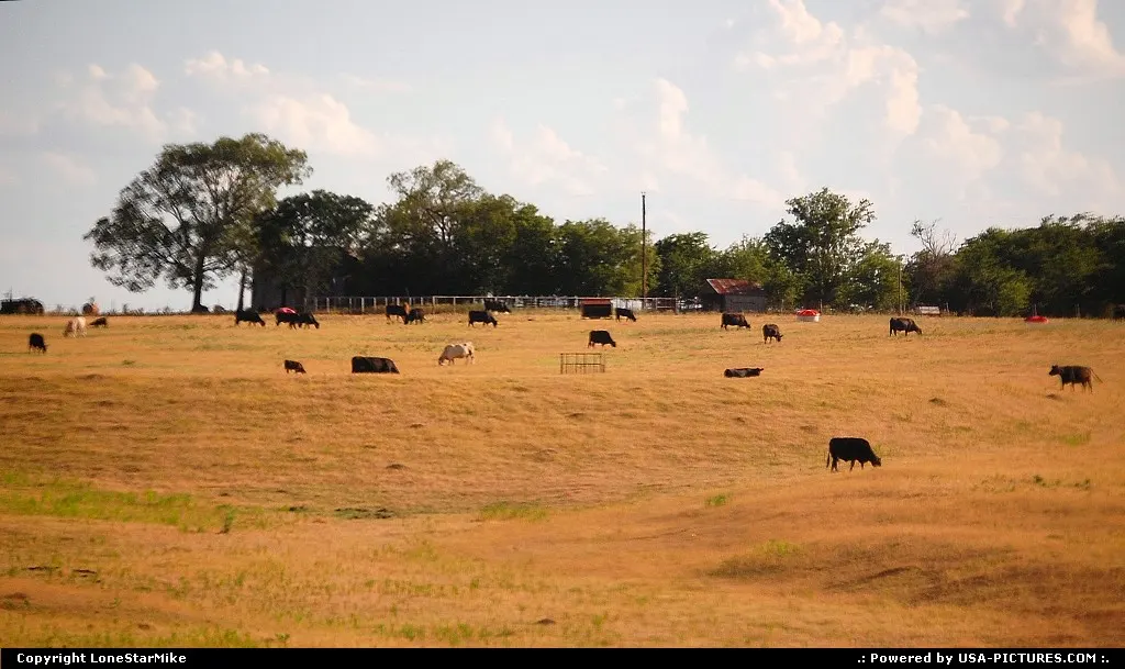 Cattle ranch somewhere in Central Texas. Photographed from Amtrak's Texas Eagle.