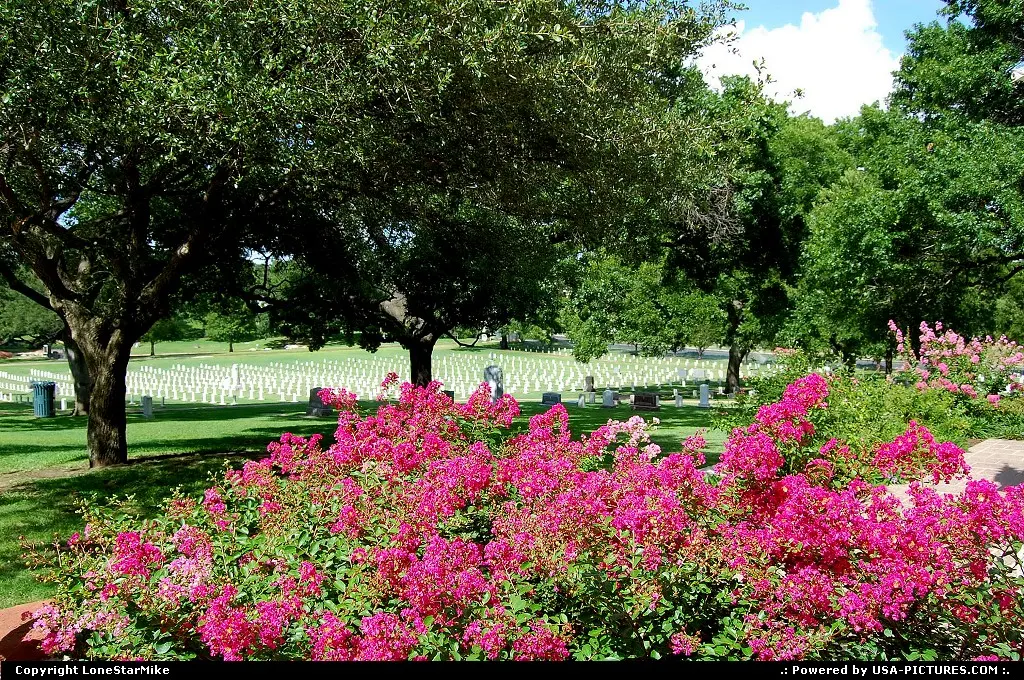 Texas State Cemetery - established in 1851.