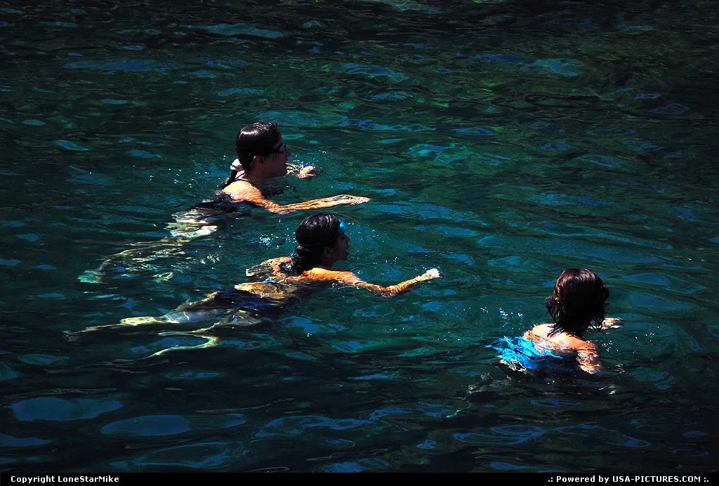 Swimmers in Barton Creek Pool.