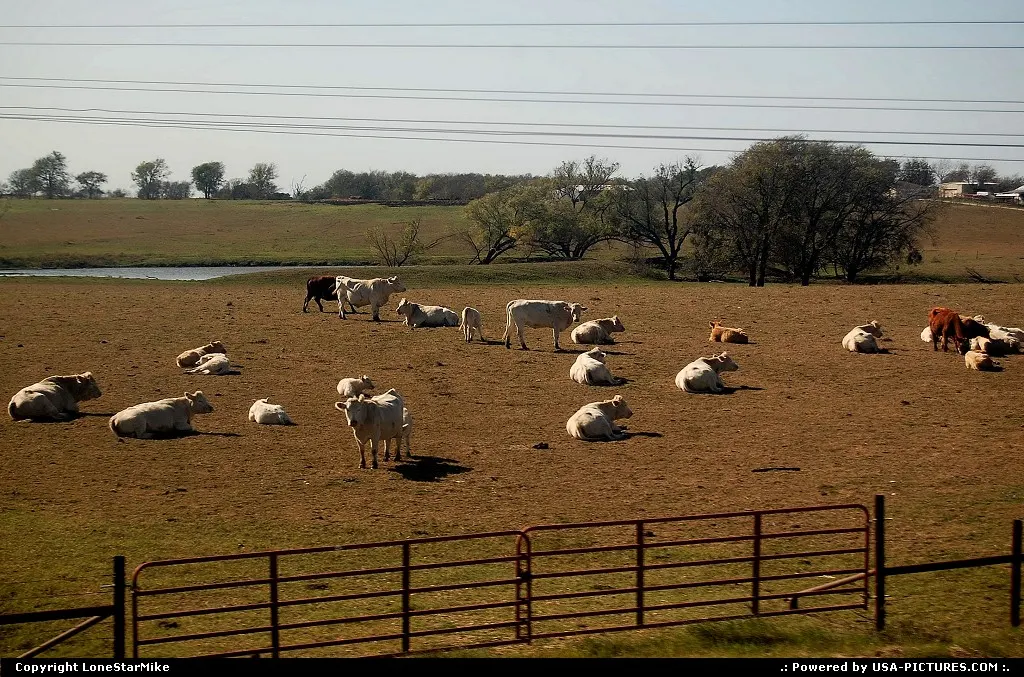 Rural Texas between Temple and Waco photographed from Amtrak's Texas Eagle
