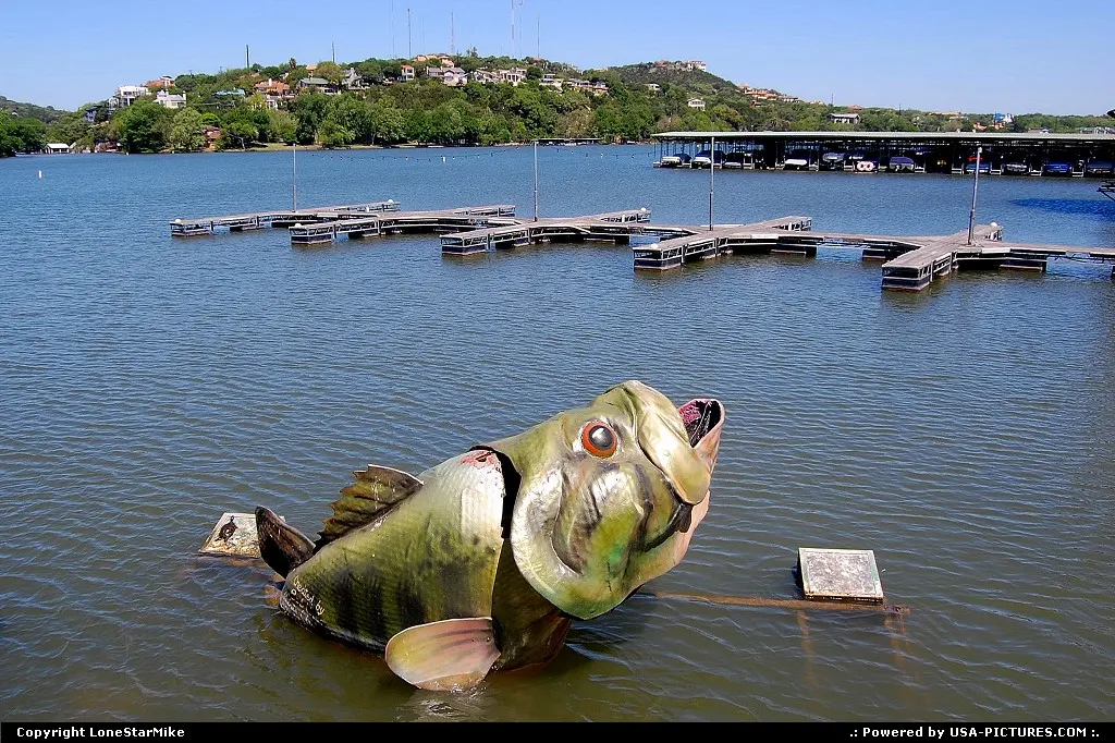 Fish at Walsh Landing on Lake Austin as seen from Hula's Bar & Grill