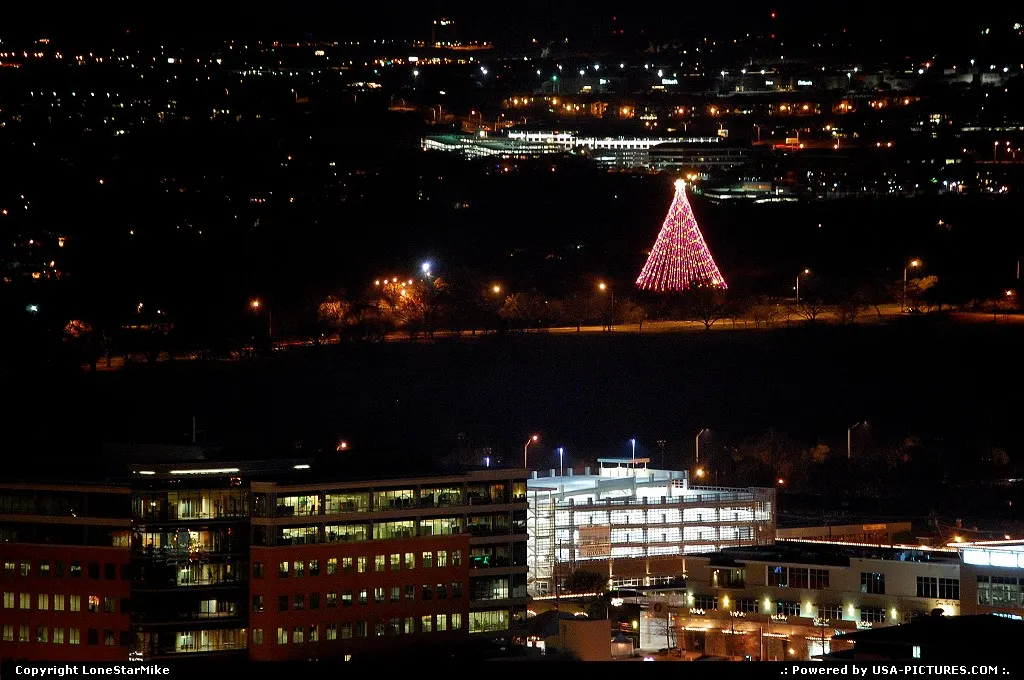 Whole Foods Headquarters and the Zilker Tree