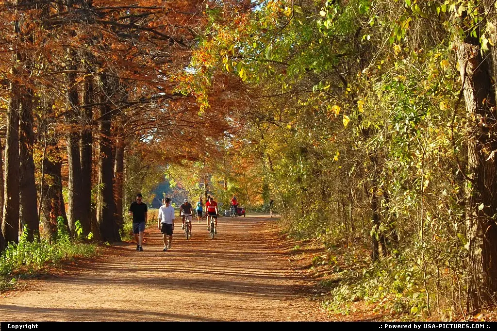 Fall foliage along the Lady Bird Hike & Bike Trail
