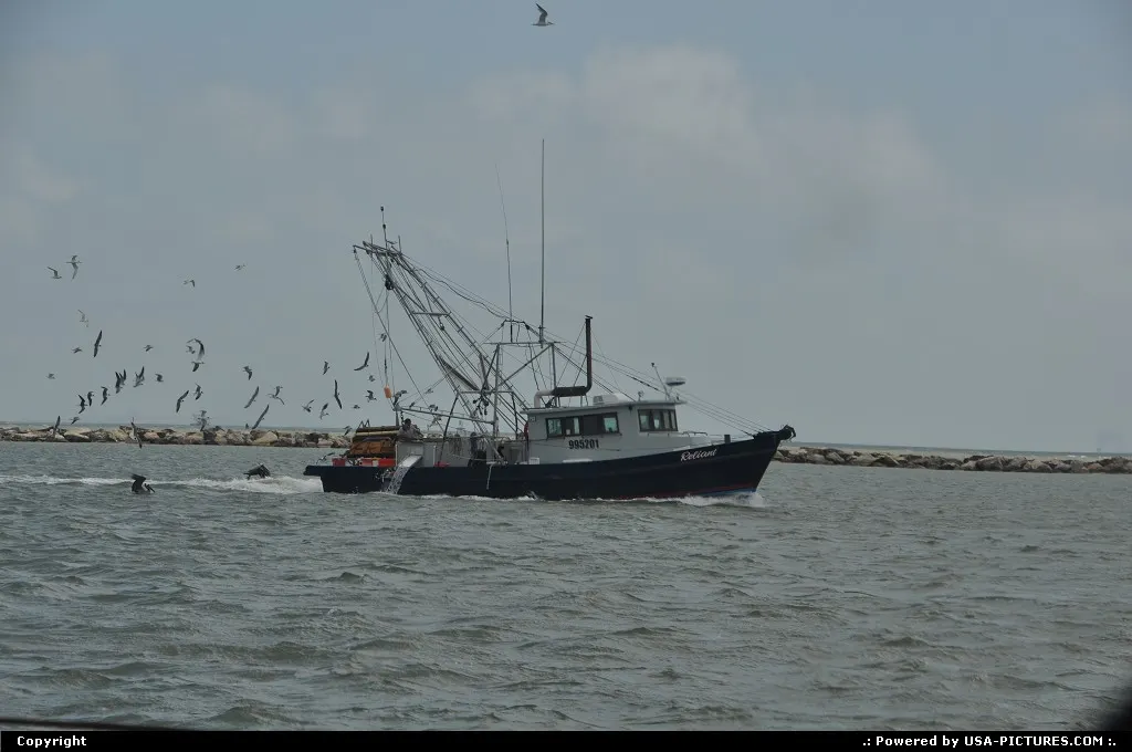Following the catch of the day