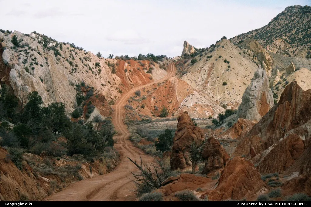 Cottonwood unpaved road