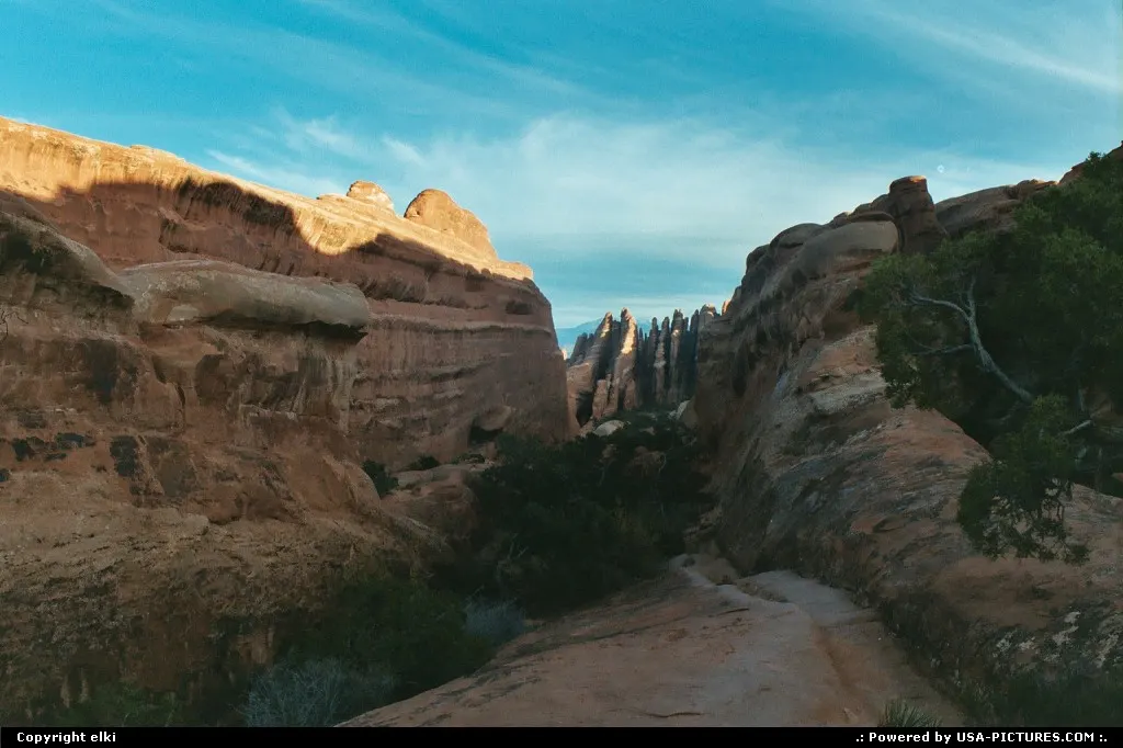 From the trail
