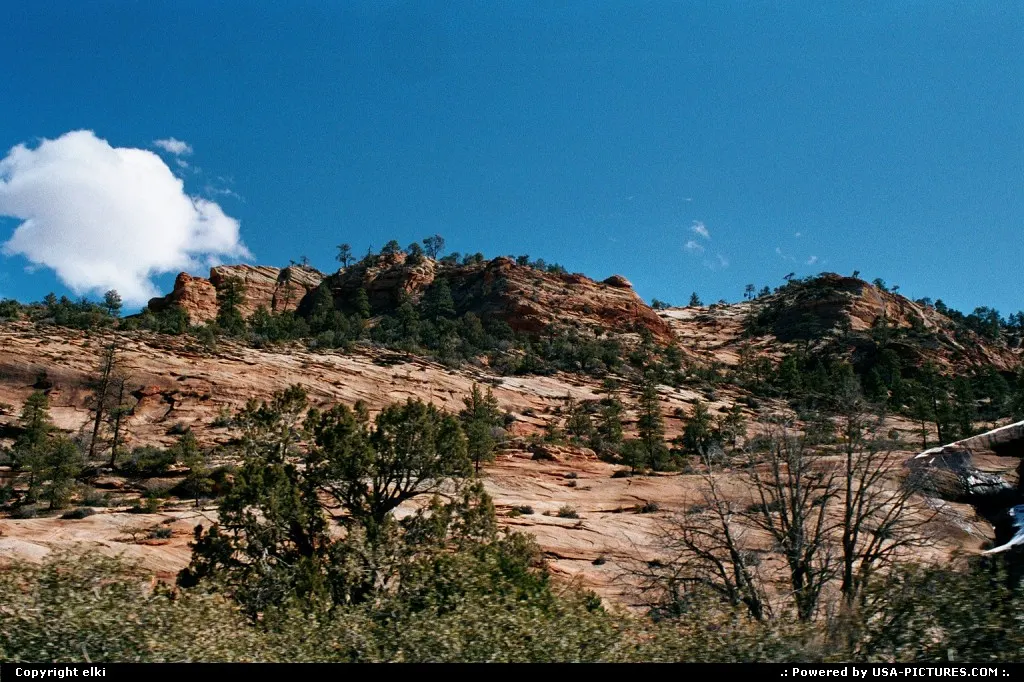Details of the rocks in Zion