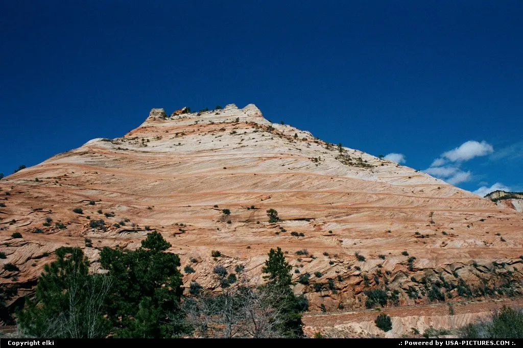 Zion's colors. Amazing park