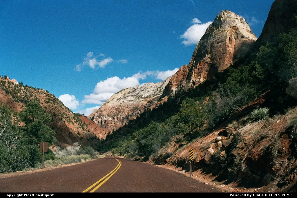 Beautiful Zion in Winter.