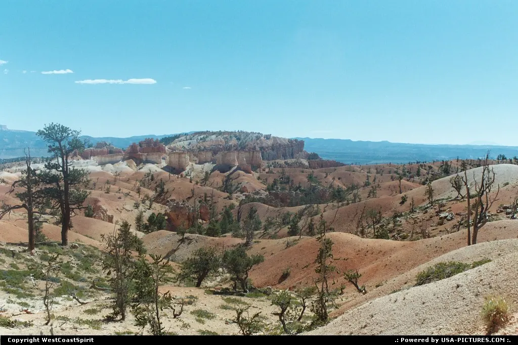 There something really special in Bryce Canyon.