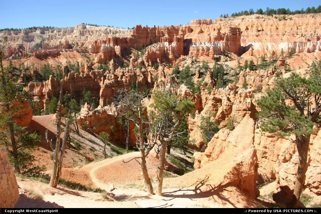 One of the numerous trails crawling literally into the Canyon. Worth the hike!