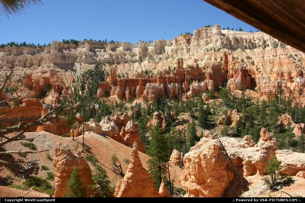 Another view of the Canyon from one of the numerous trails.