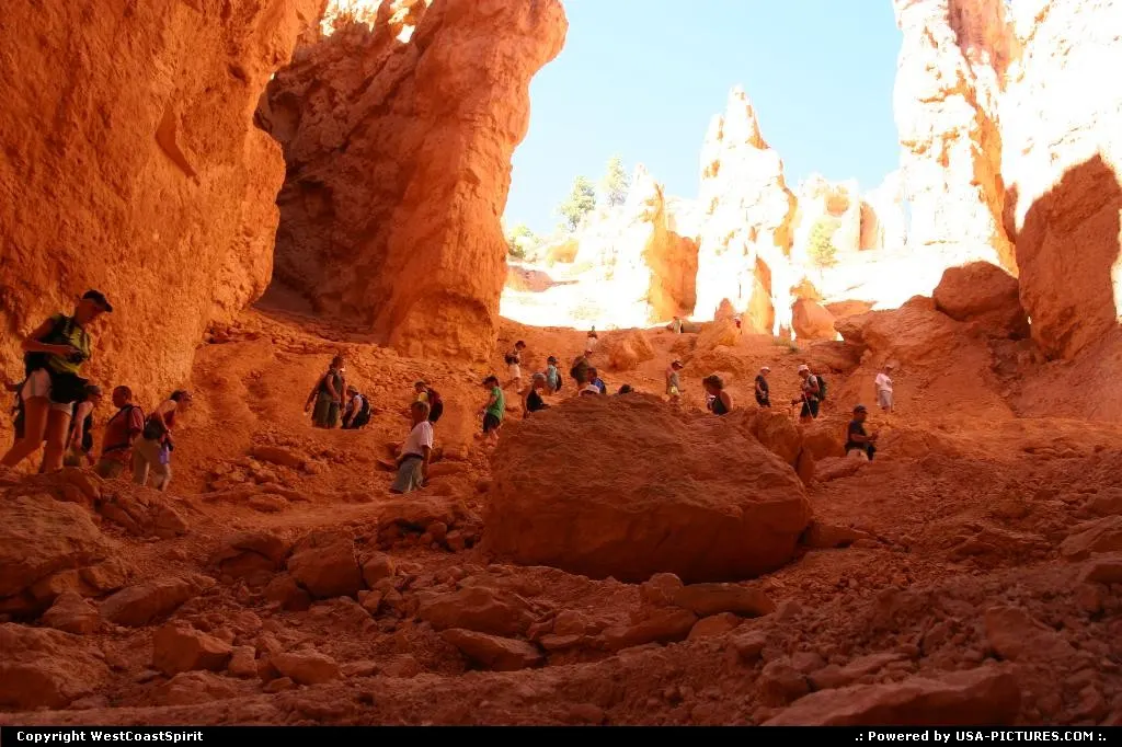 The Canyon from a